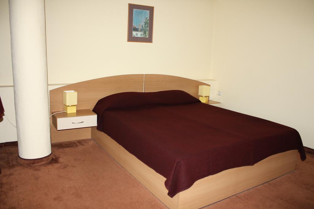 Hotel Of Bulgarian Academy Of Sciences ソフィア 部屋 写真